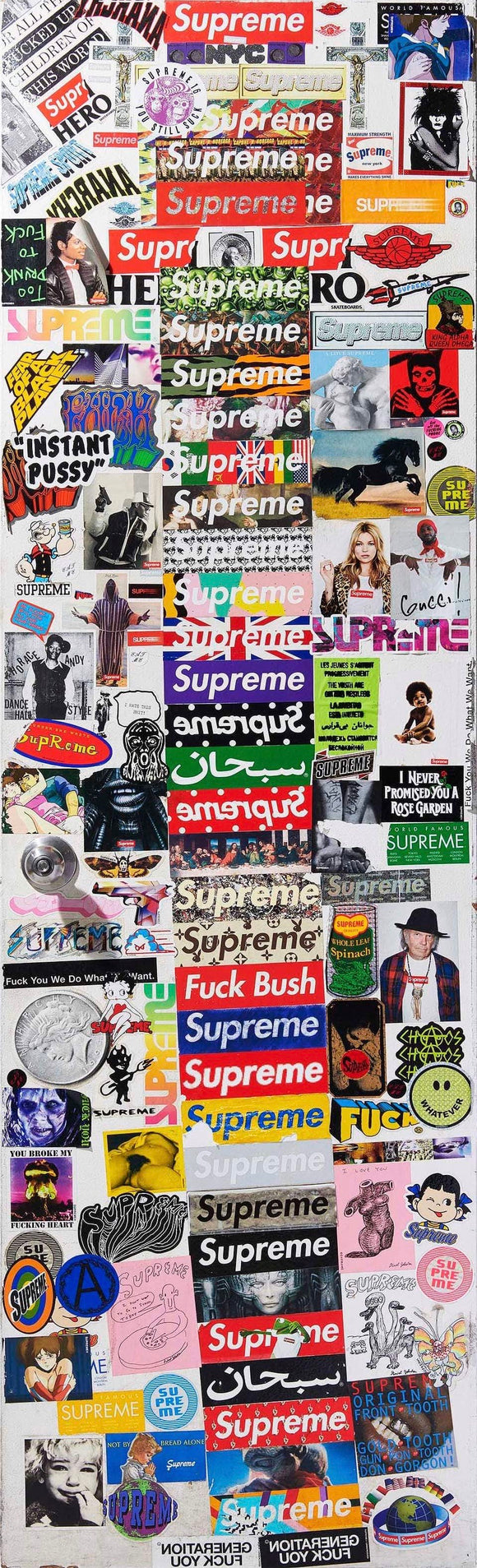 Supreme F&F Door Poster